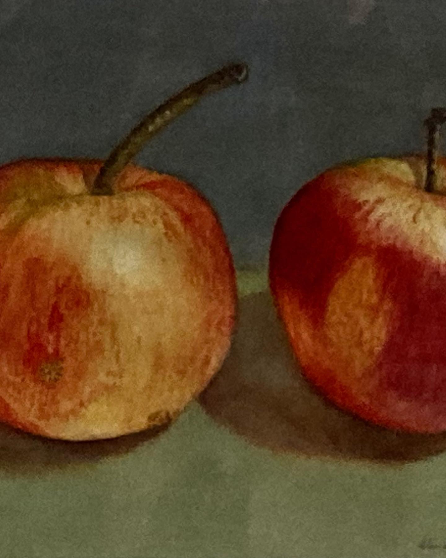 Burra Art Gallery exhibition 8